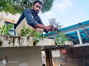 Observing Swach Bharat Diwas 2024 